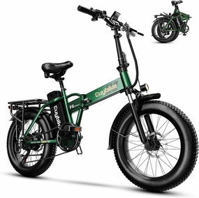 1000W Folding Electric Bike,48V 20AH Removable Battery E Bike,30 MPH,80 Miles Max Range Electric Bike for Adults,20" Fat Tire Foldable ebike,Adult Electric Bicycle for Commute Beach Snow