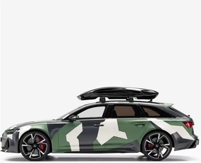 Alloy Resin Car Vehicle Model 1 18 Wagon 2020 RS6 Avant (C8) Simulation Resin Car Model Adult Collection Gifts Toys Crafts Festive Deluxe Gift (Color : 4)