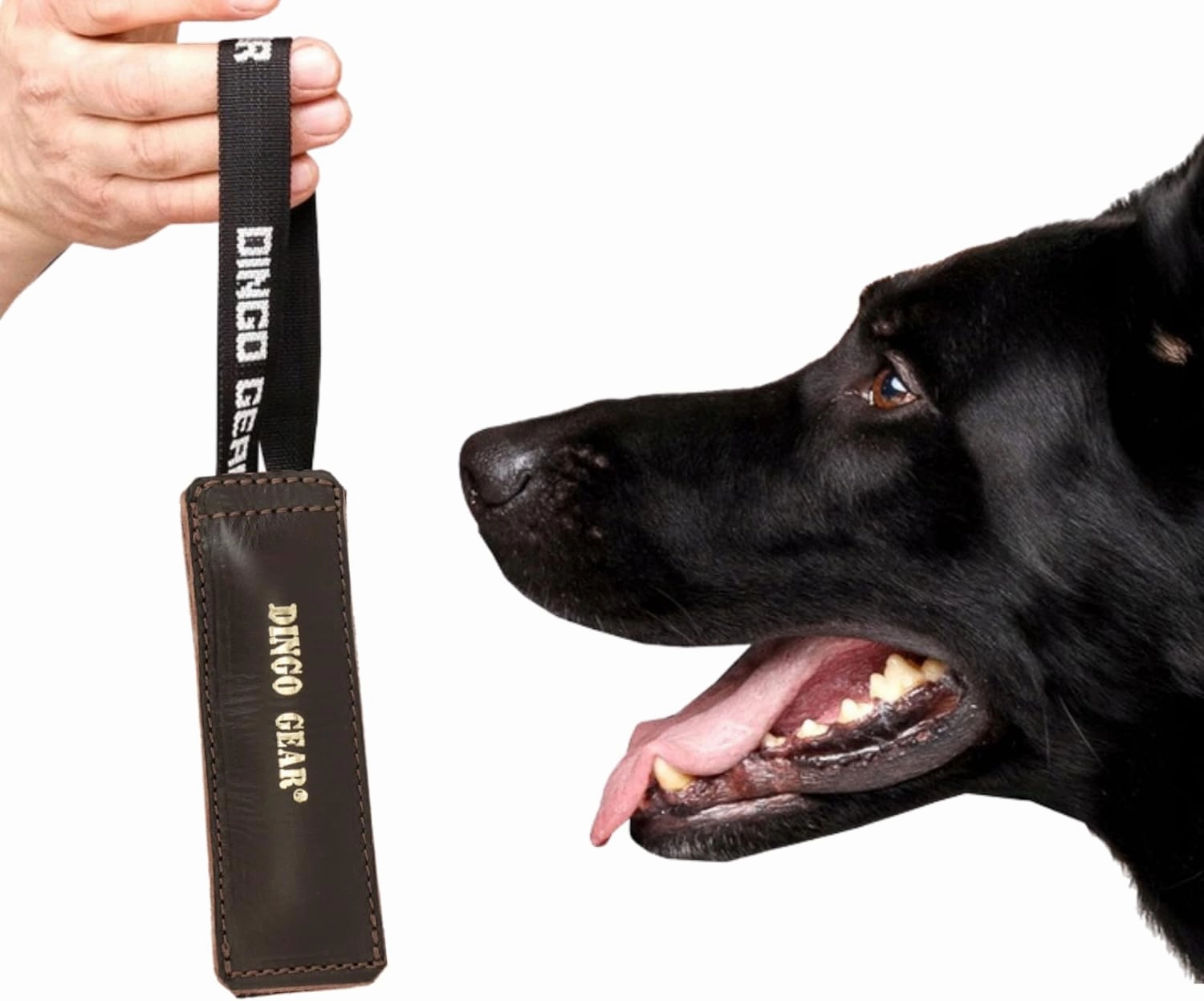 Dingo Gear Dog Bite Tug Handmade of Brown Grain Leather Strong, Chocolate, 0.1 kg