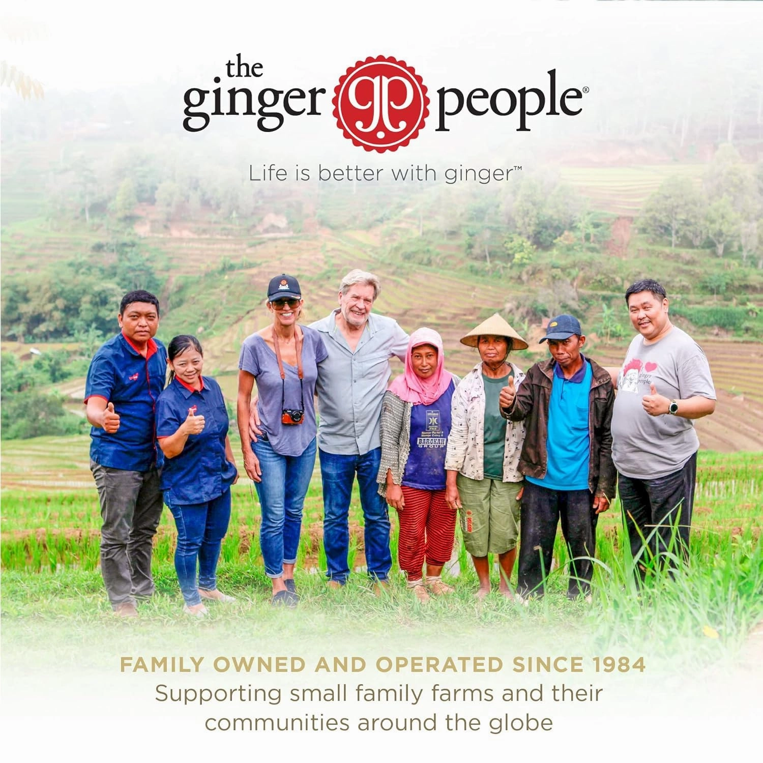 Ginger Rescue Shots by The Ginger People – Energy Boosting, Caffeine Free Energy, Digestive Heath, Lemon & Cayenne Flavor, 2 Fl Oz (Pack of 12)