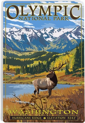 Lantern Press 12x18 Inch Metal Sign, Olympic National Park, Washington, Hurricane Ridge and Elk