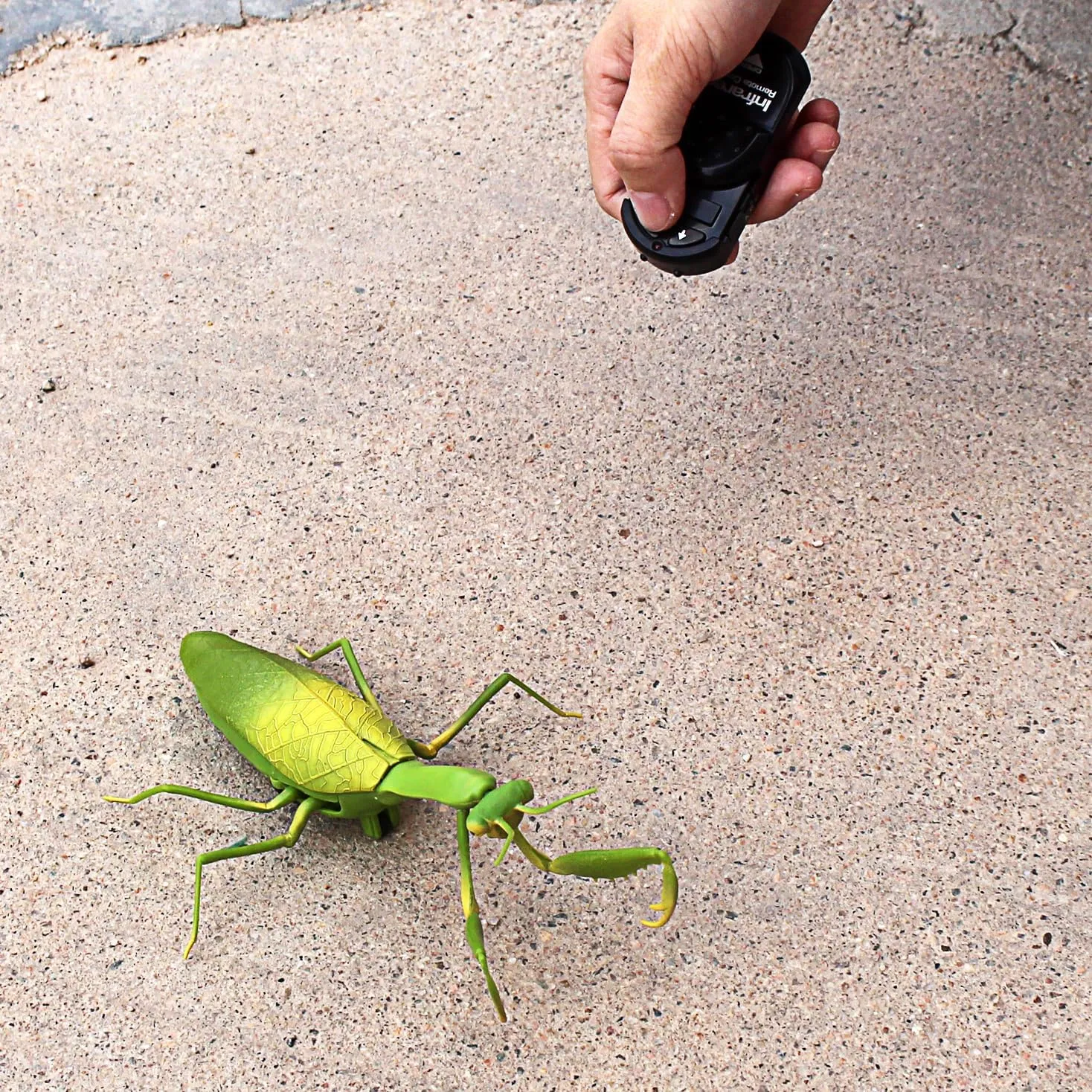Tipmant RC Praying Mantis Toy IR Remote Control Animal Realistic Insect Car Vehicle Electric for Kids Birthday Gifts
