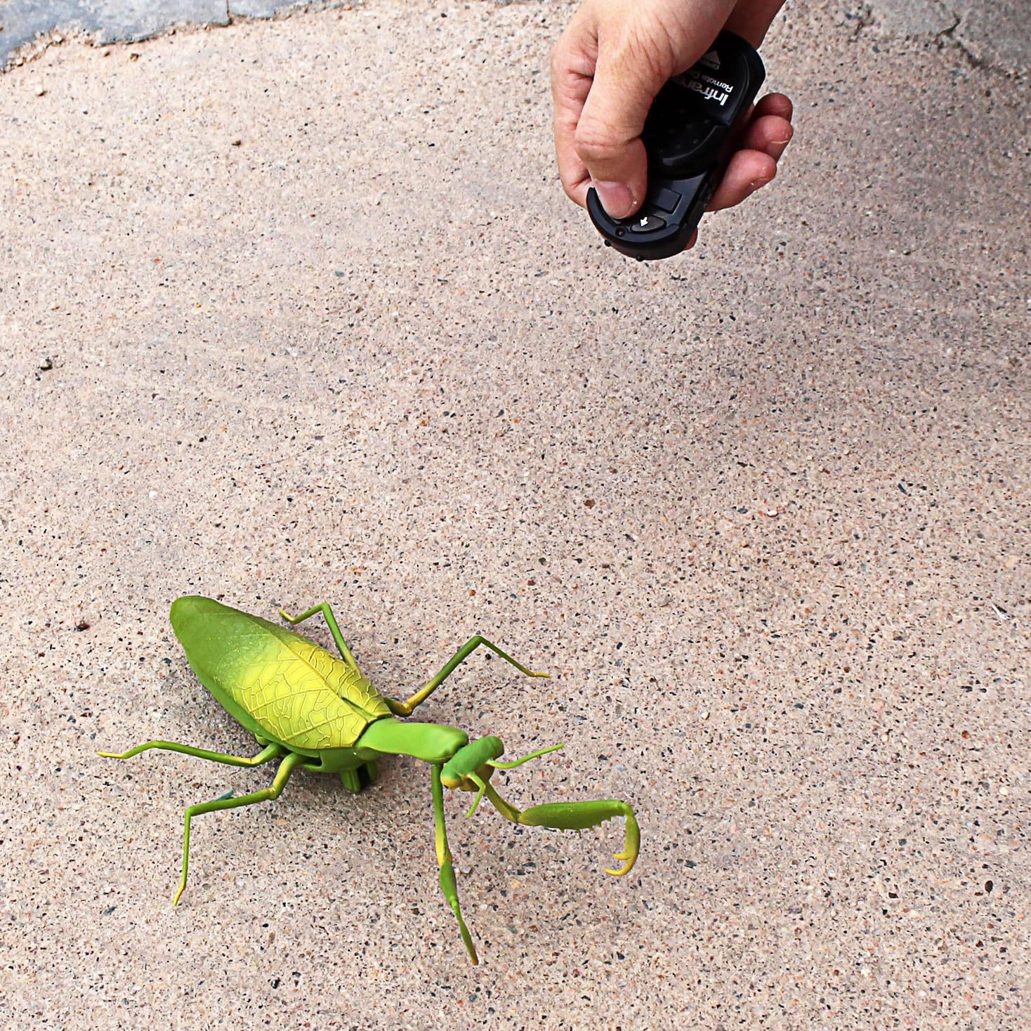 Tipmant RC Praying Mantis Toy IR Remote Control Animal Realistic Insect Car Vehicle Electric for Kids Birthday Gifts