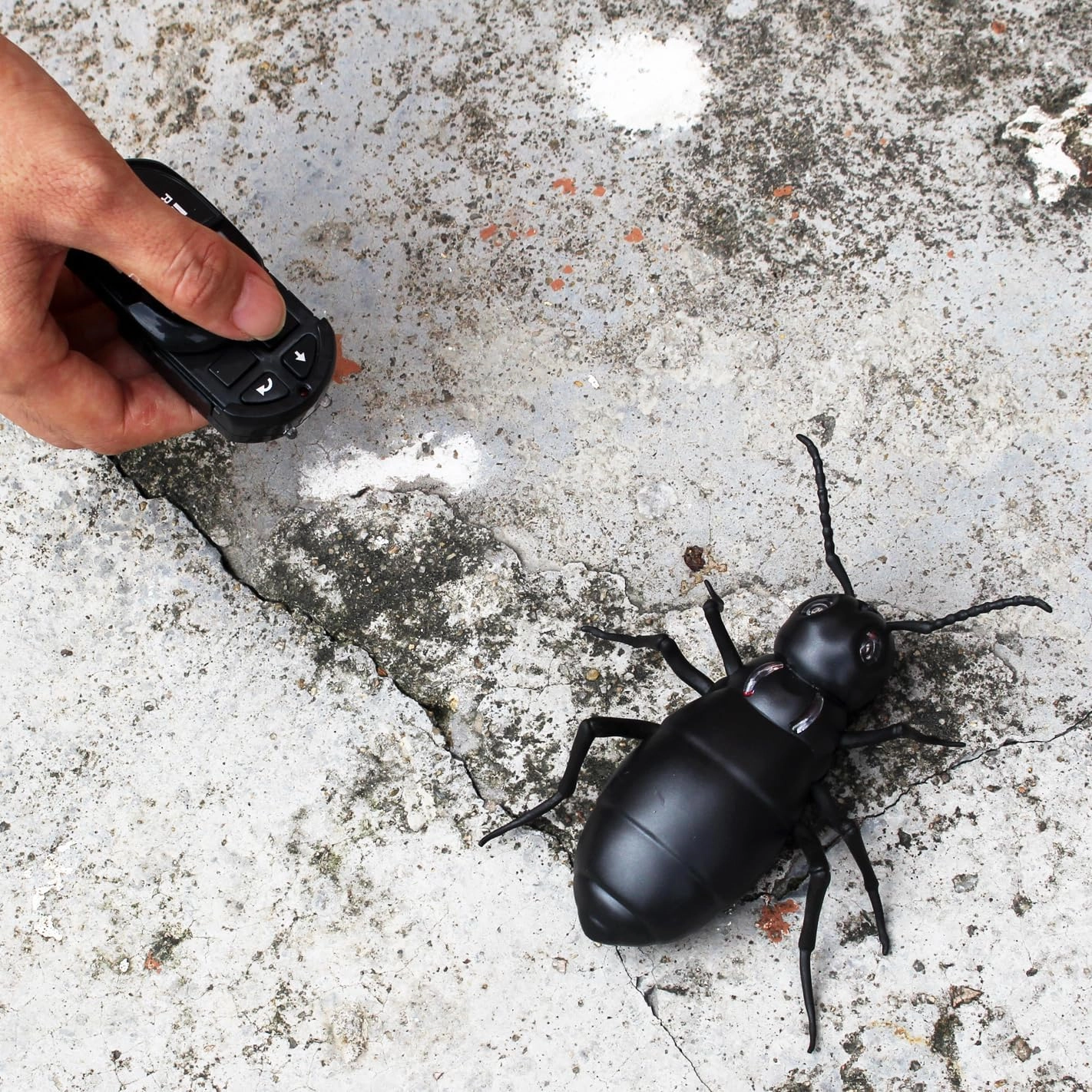 Tipmant Remote Control Ants RC Car Vehicle Animal Electric Insect Kids Toy for Birthday Christmas