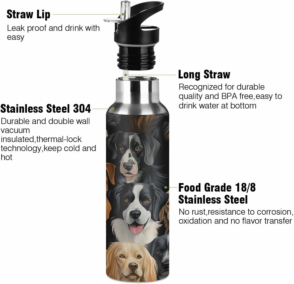 Water Bottle Stainless Steel, Funny Cartoon Dog Insulated Sports Bottle with Straw, BPA Free Reusable Bottles for Fitness, Travel & Outdoor Activities
